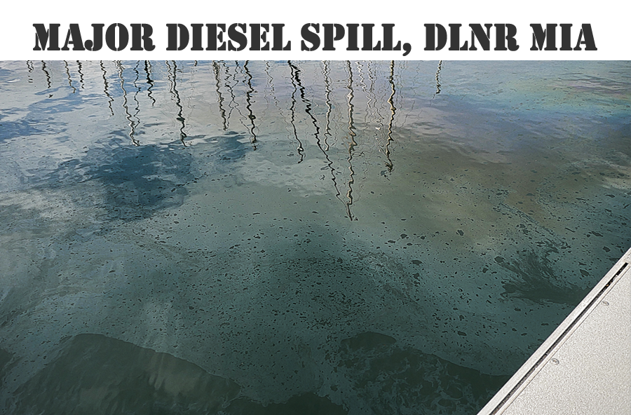 DLNR Stands Idly by as Giant Diesel Fuel Spill Pollutes Harbor